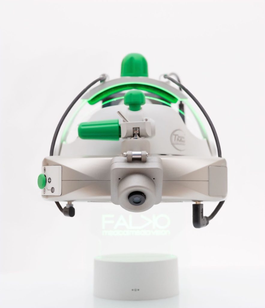 FALKO: discovering real-time, 3D digital visualization systems with Professor Fernando Zarone